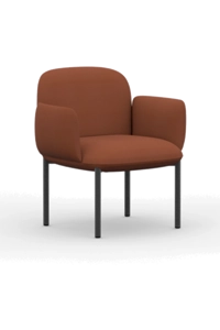Lounge chair with arms / PLM02