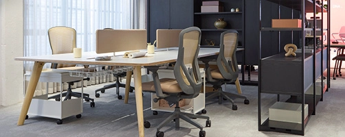 Brands_Partial_Image_Senator