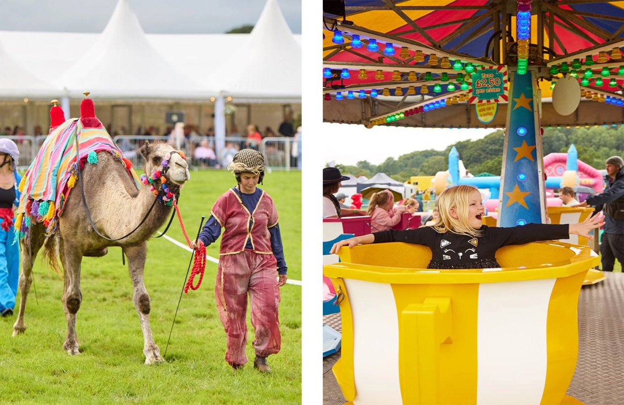 News_FamilyFunDay25_Container2_Image1_1