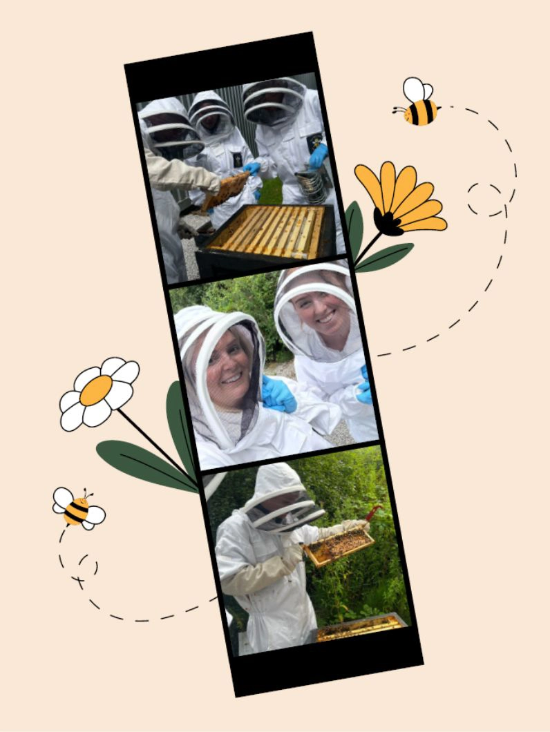 Newsroom_Honeybees_LANDING (1)
