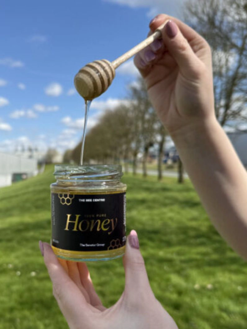 Newsroom_Honeybees_LANDING_v4