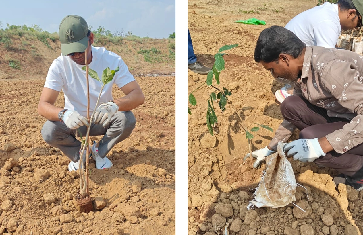 News_TreePlanting_Container6_Image1