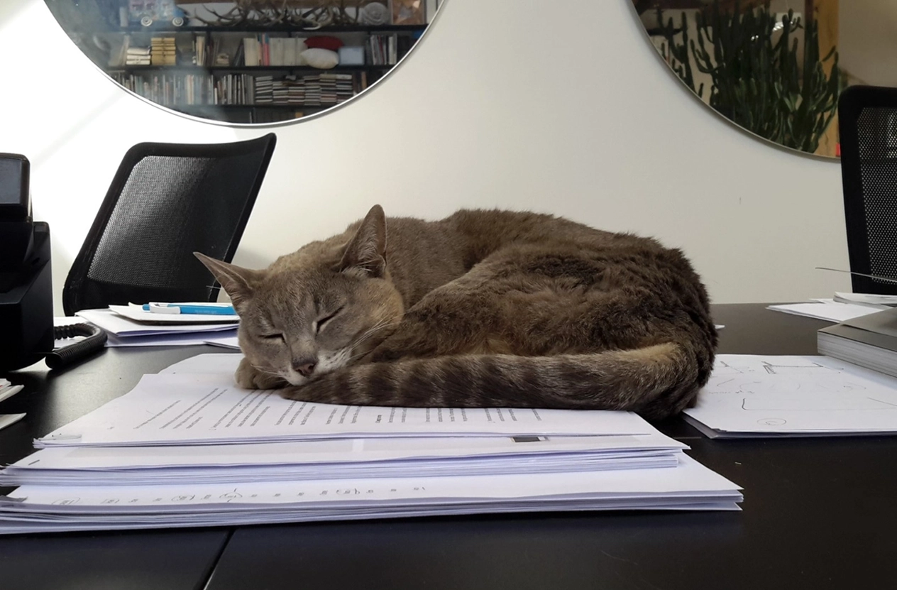 OurDesigers_Container1_Gallery1_Gabbertas_Image2