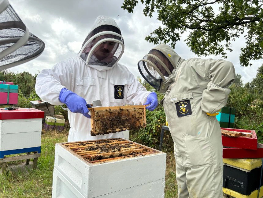 Homepage_Beekeeping_ImpactBlock
