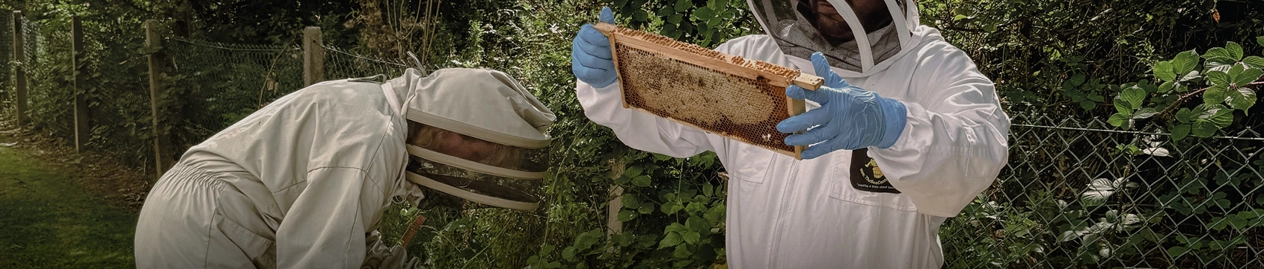 CommitmentInAction_HeaderBanner_Slim